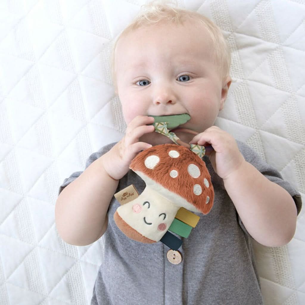 Itzy Pal™ Infant Toy - Image 16