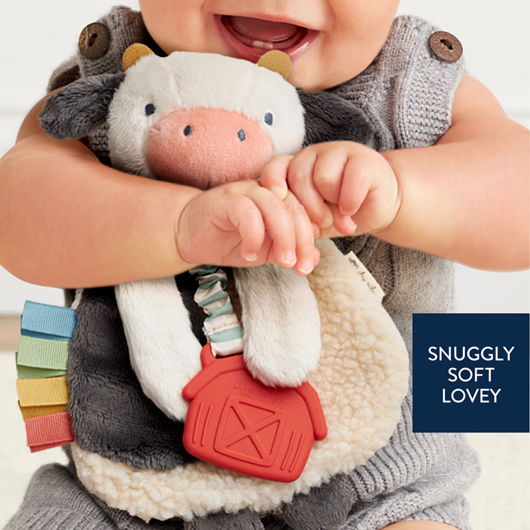 Itzy Lovey™ Plush and Teether Toy - Image 2