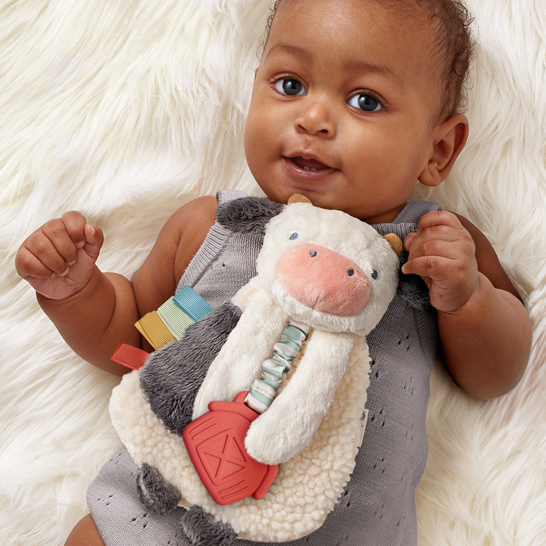 Itzy Lovey™ Plush and Teether Toy - Image 7