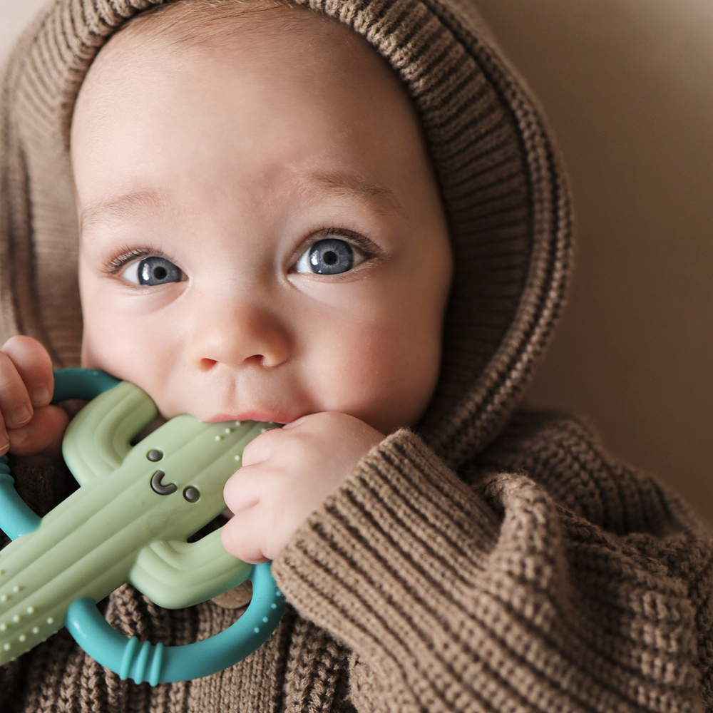Chew Crew™ Silicone Handle Teether - Image 7